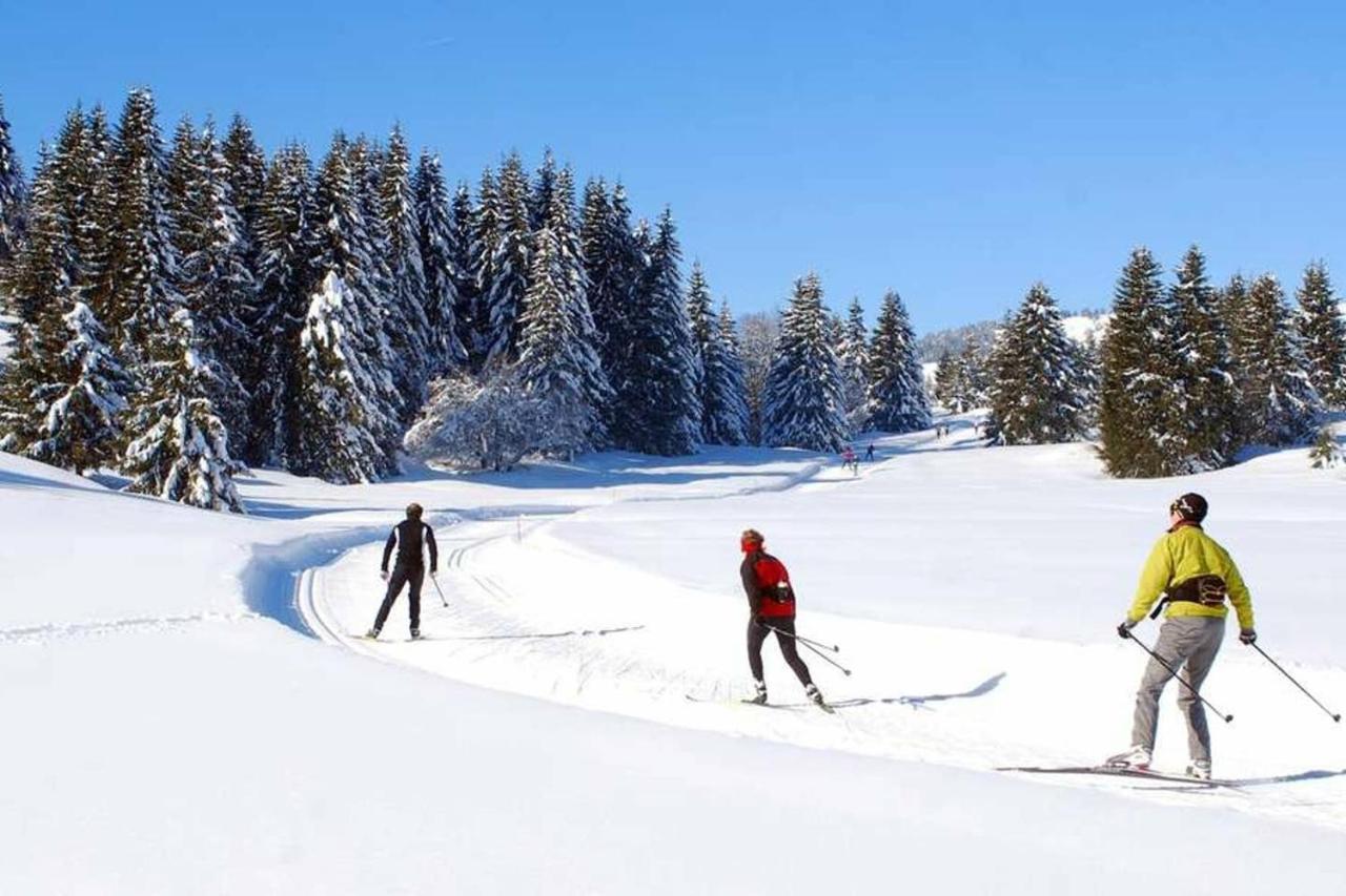 Le 211,Ski Et Randonnee, Lave Linge ,Parking Bernex Kültér fotó