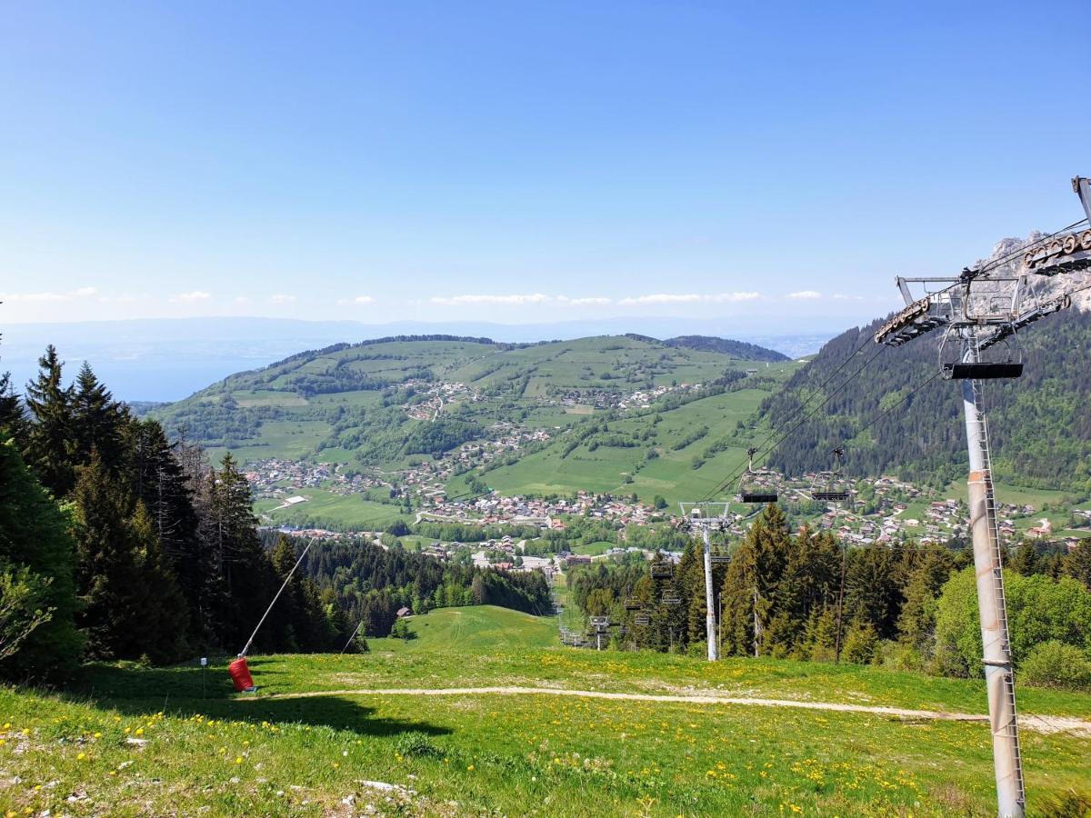 Le 211,Ski Et Randonnee, Lave Linge ,Parking Bernex Kültér fotó